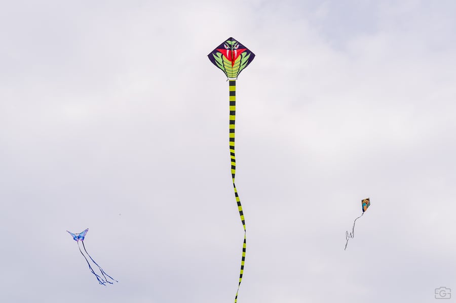 DSC00885