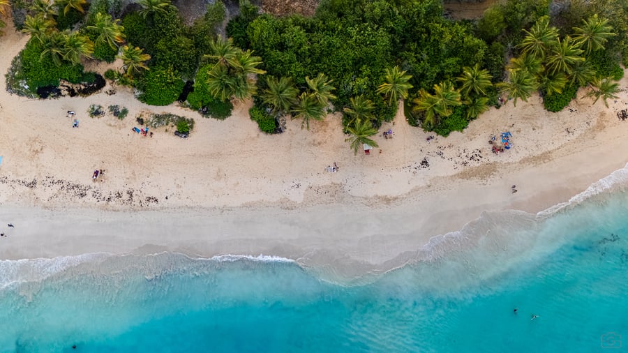 20251211-DJI_20251211161847_0152_D