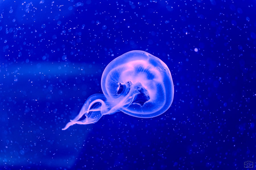 20251108-_AR51532
