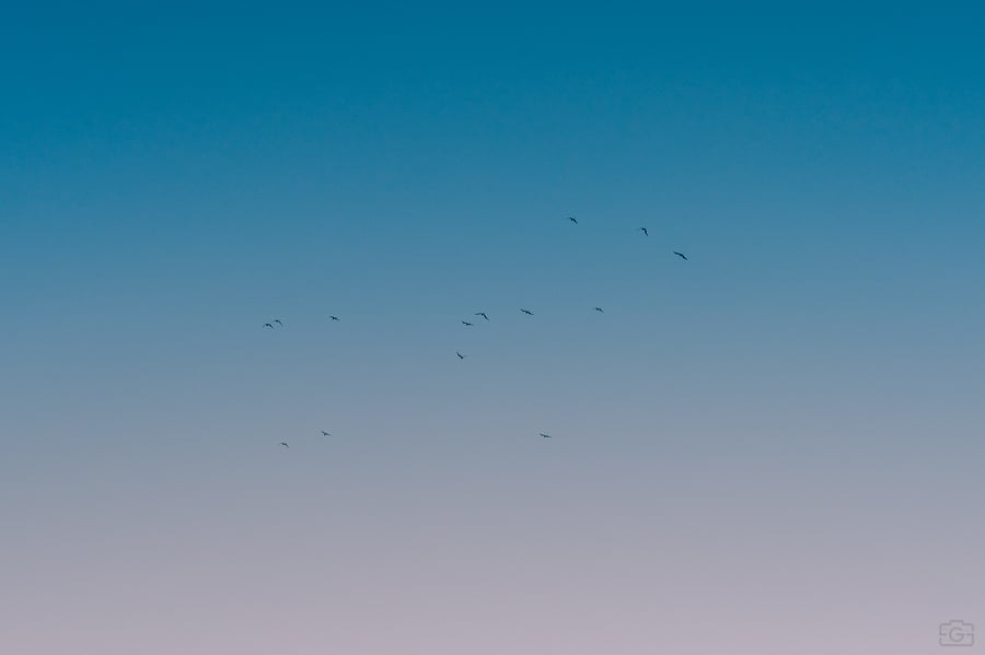 20251109-_AR51851