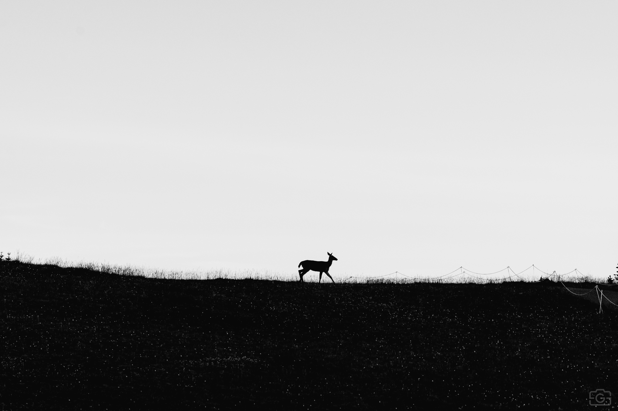 Photograph 2 from Olympic National Park - 2025