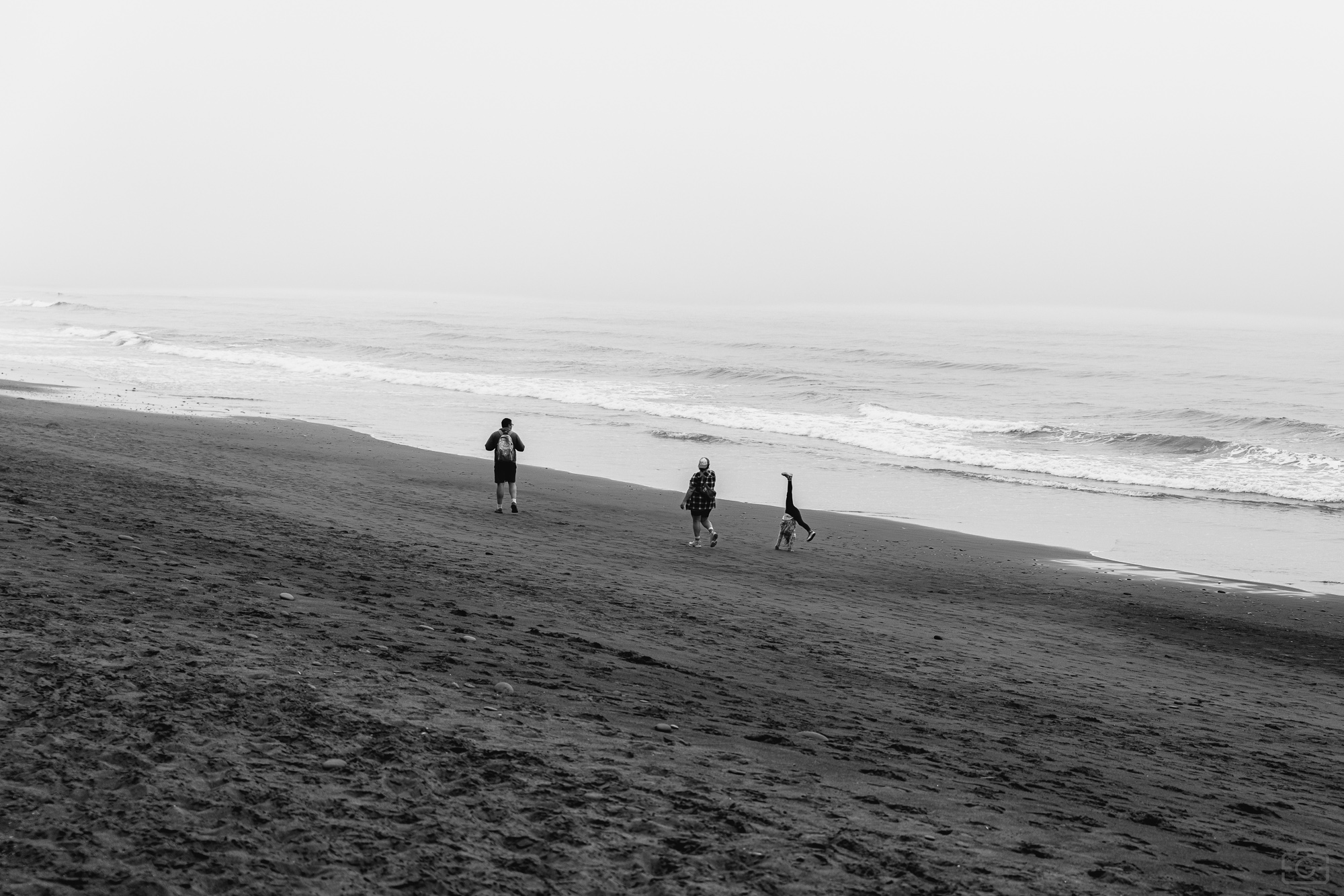 Photograph 21 from Olympic National Park - 2025