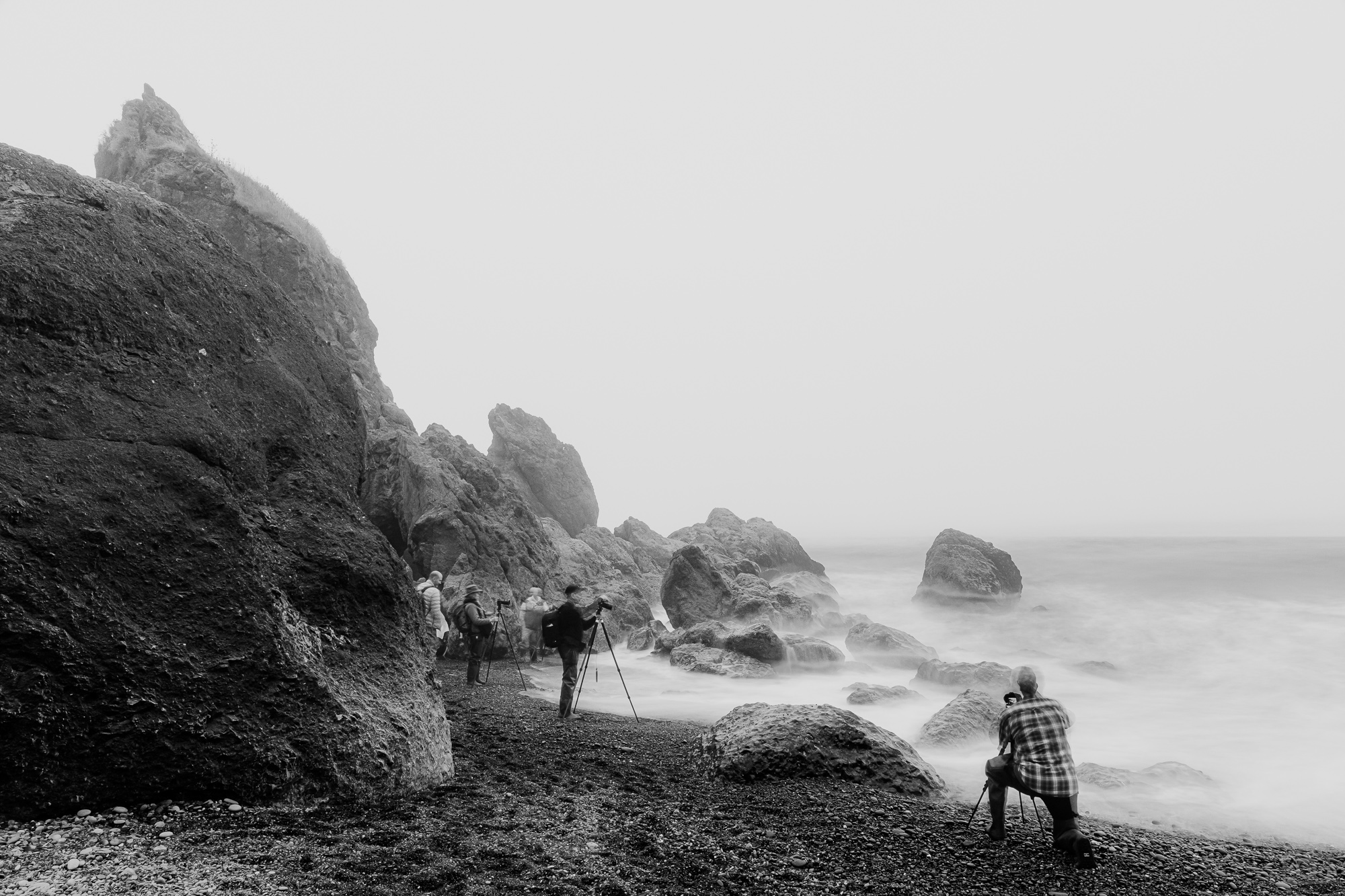 Photograph 9 from Olympic National Park - 2025