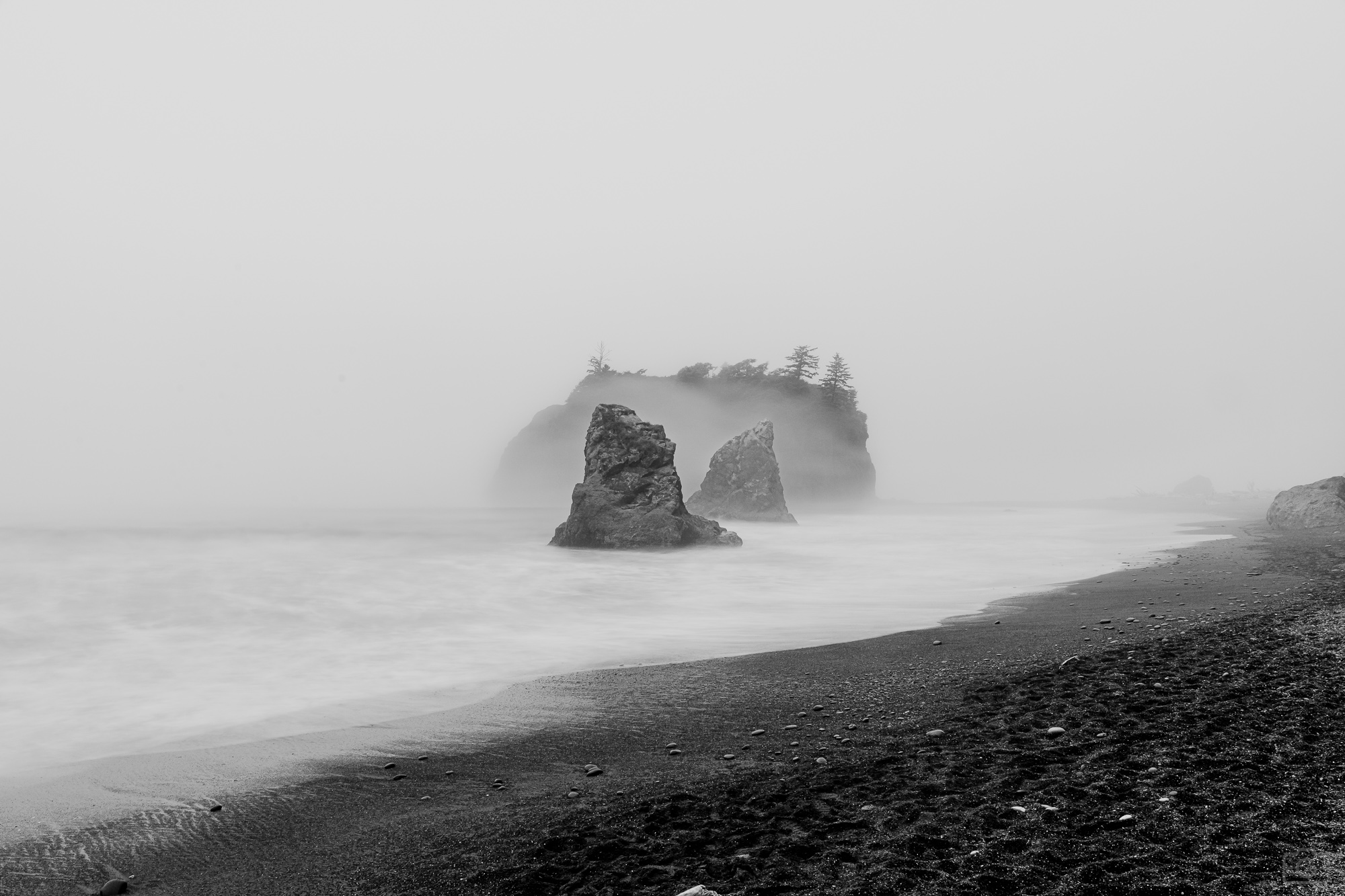 Photograph 3 from Olympic National Park - 2025