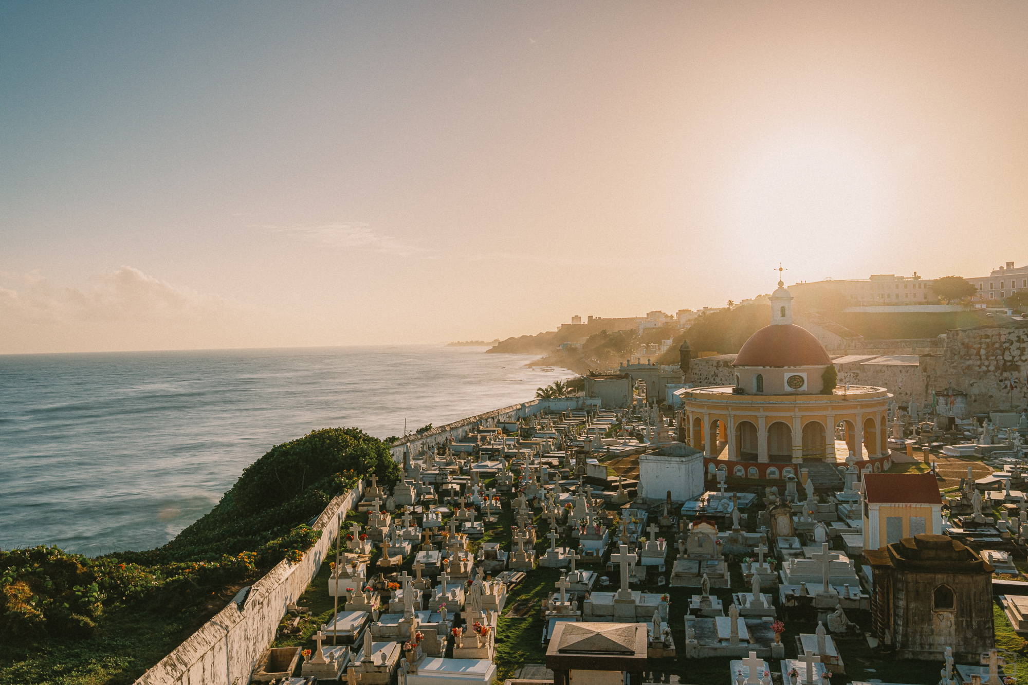 Photograph 11 from Puerto Rico - 2025