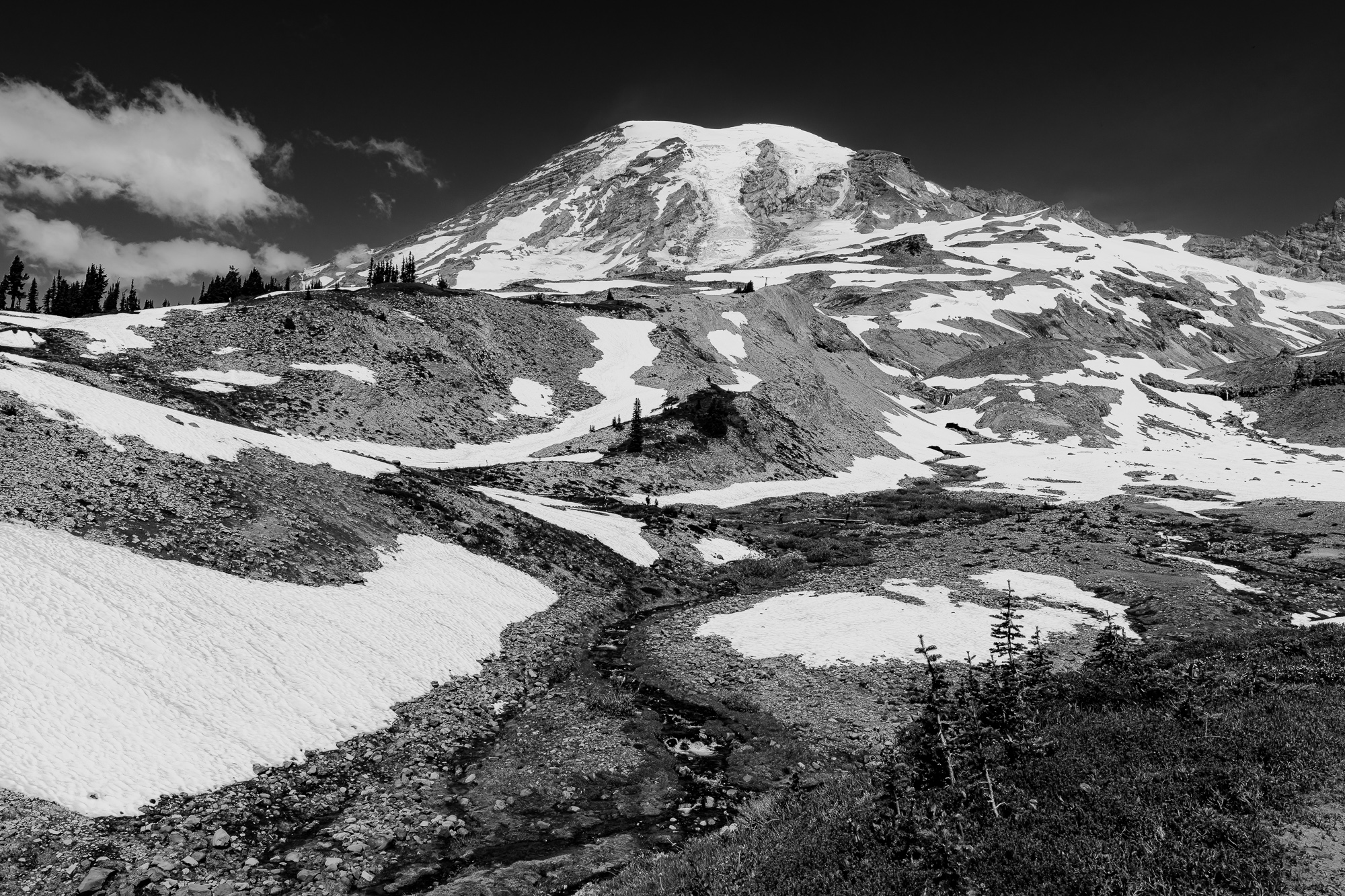 Photograph 6 from Mount Rainier National Park - 2025